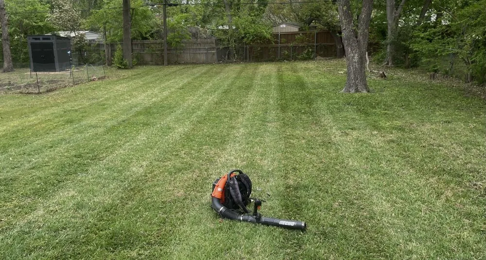 Local landscape installation for year-round maintenance in Arlington, TX by LawnDays