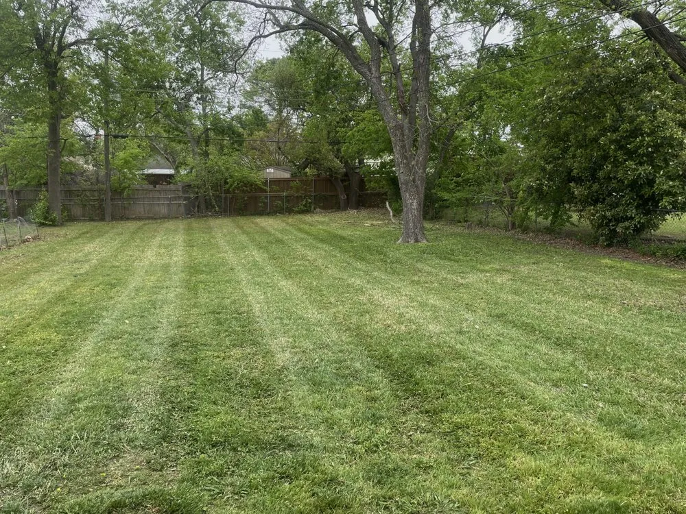 Trusted garden landscaping in Arlington, TX by LawnDays