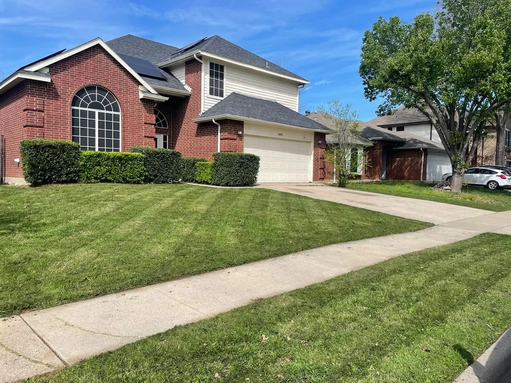 Expert yard maintenance in Arlington, TX - LawnDays