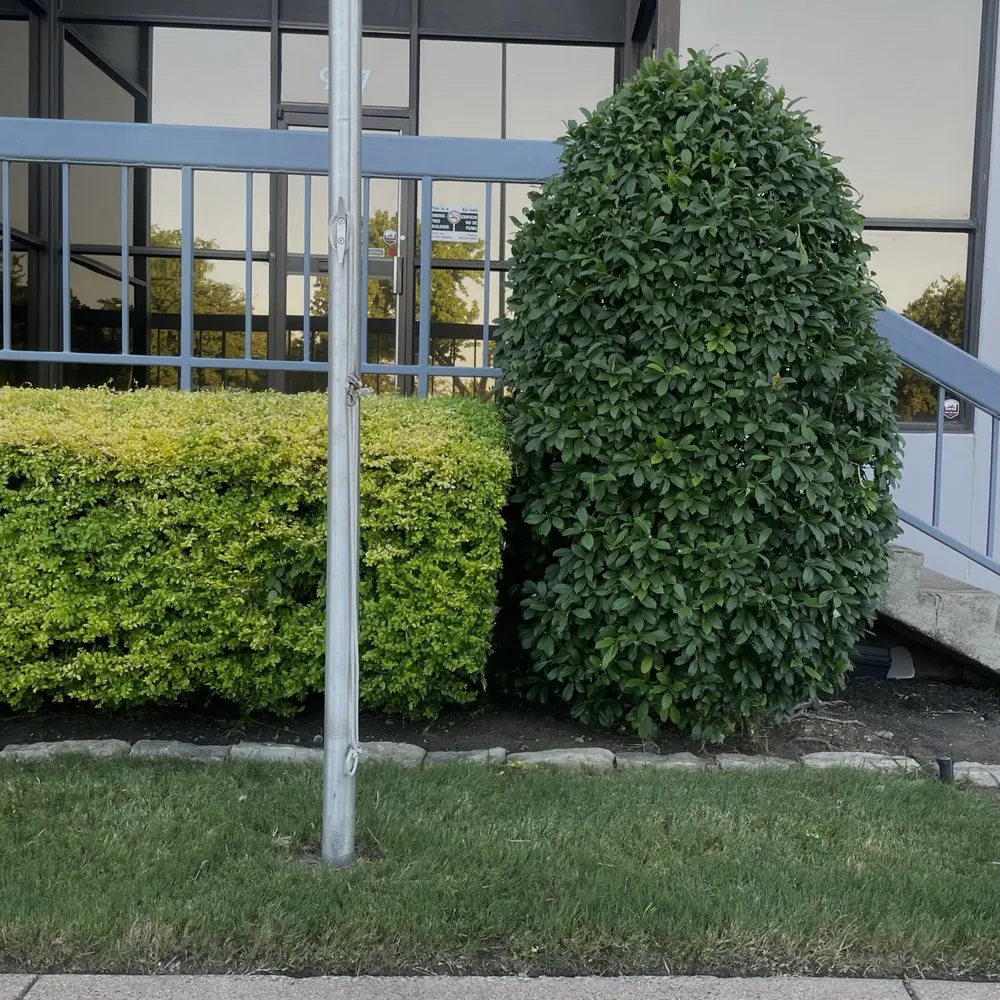 Trusted lawn care service for homes across Arlington, TX - LawnDays