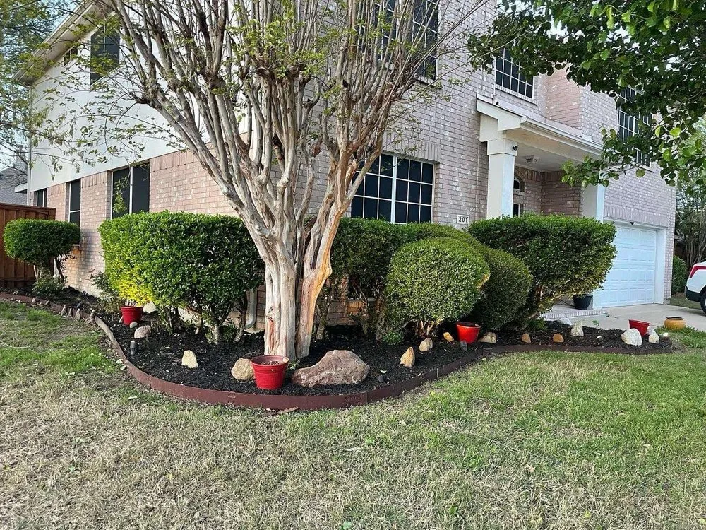 Trusted residential landscaping for year-round maintenance across Arlington, TX - LawnDays
