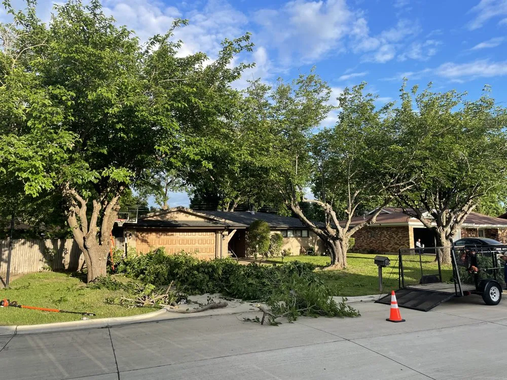 Expert yard maintenance experts serving Arlington, TX - LawnDays