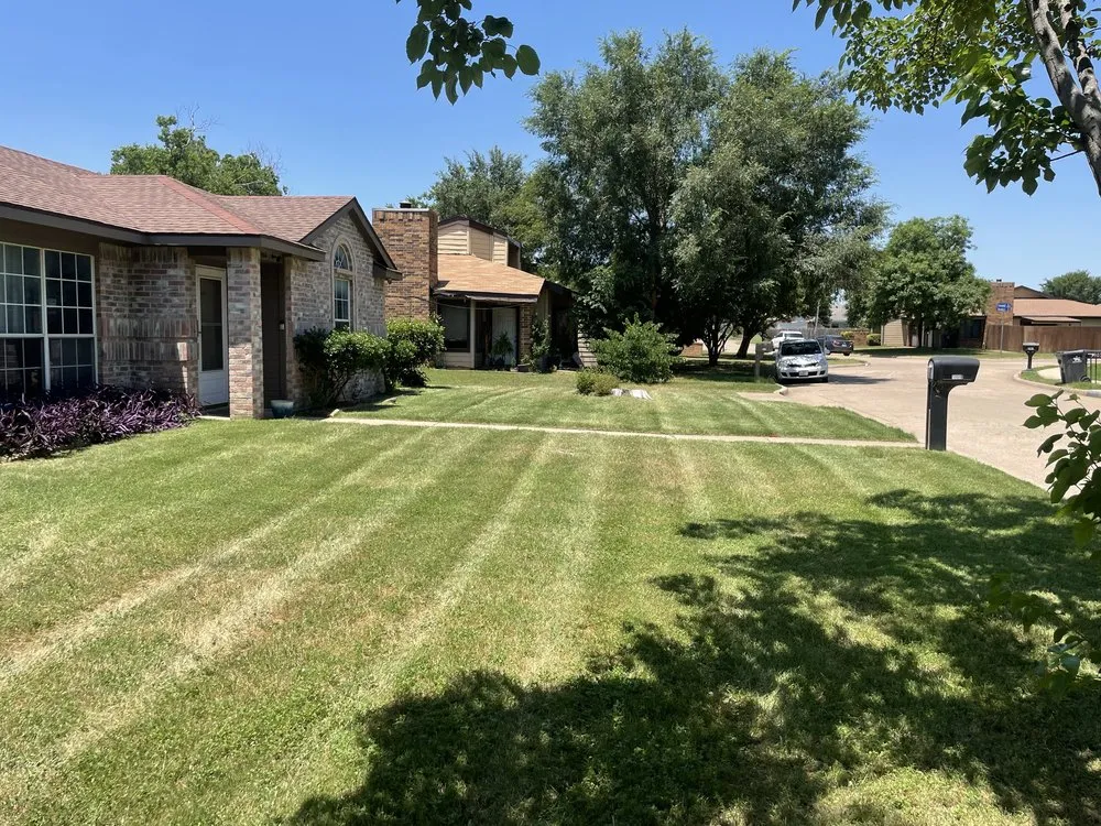 Professional yard cleanup service experts serving Arlington, TX - LawnDays