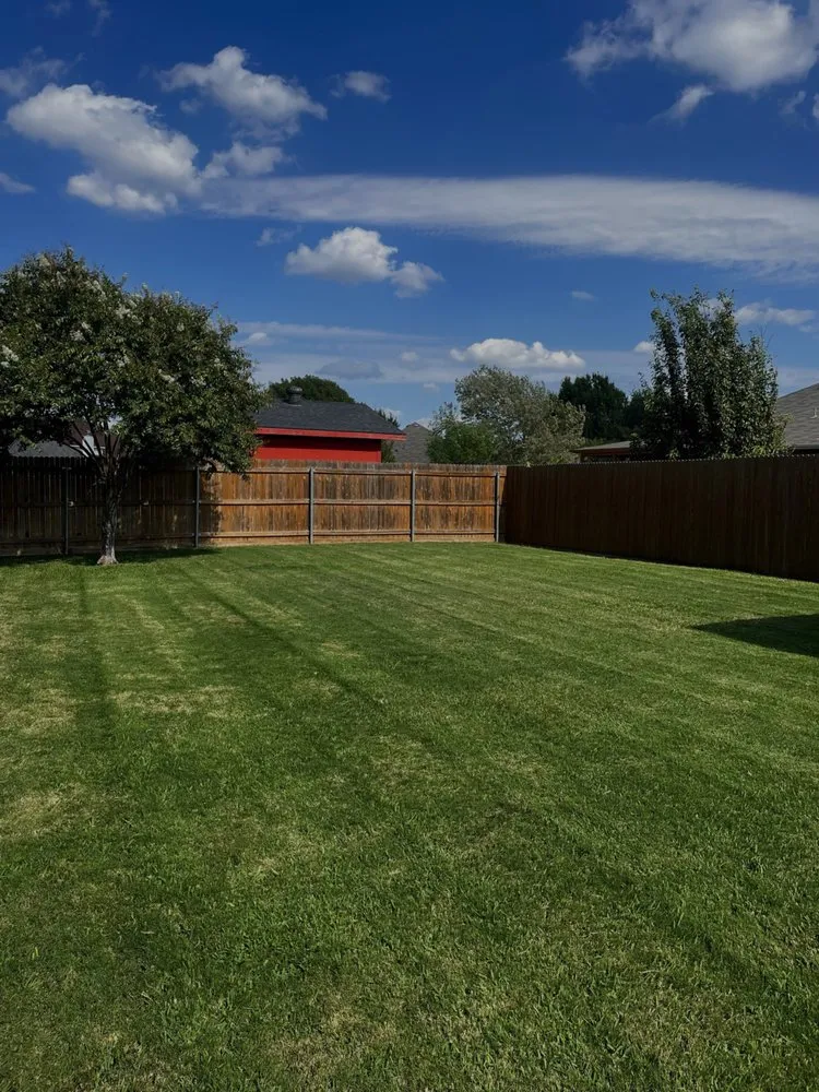 Affordable landscape installation in Arlington, TX by LawnDays