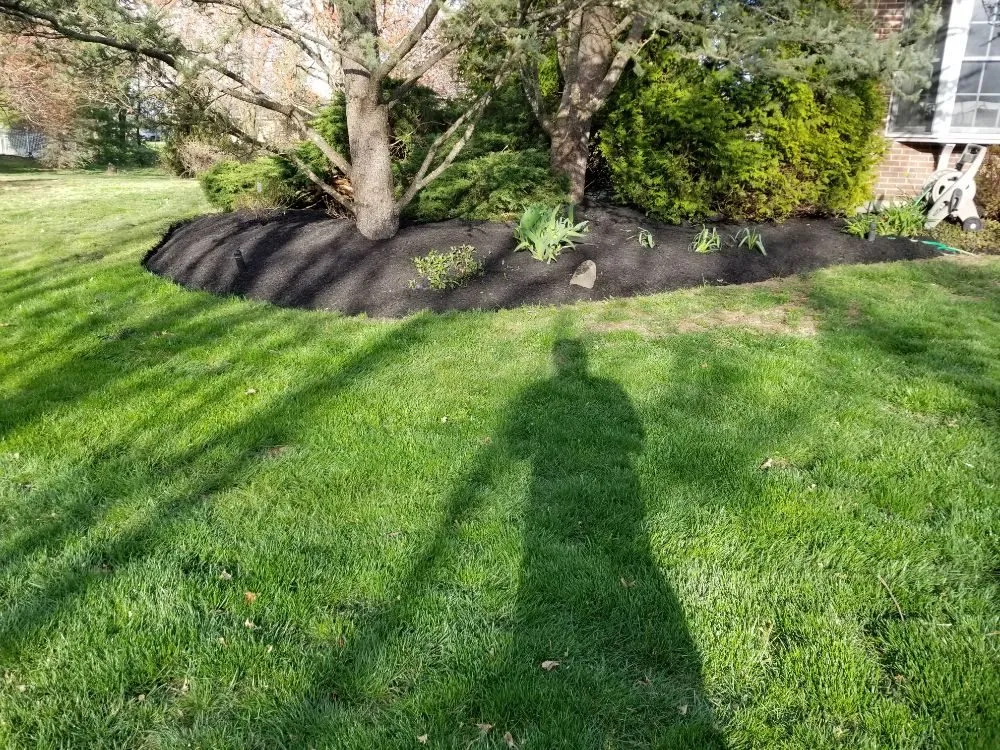 Expert landscaping services experts serving Hightstown, NJ - Lawndos Landcaping & Lawn Service