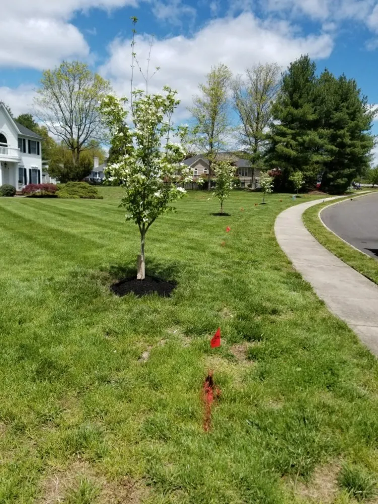 Custom yard maintenance for homes in Hightstown, NJ by Lawndos Landcaping & Lawn Service