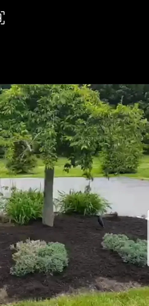 Reliable residential landscaping in Hightstown, NJ by Lawndos Landcaping & Lawn Service