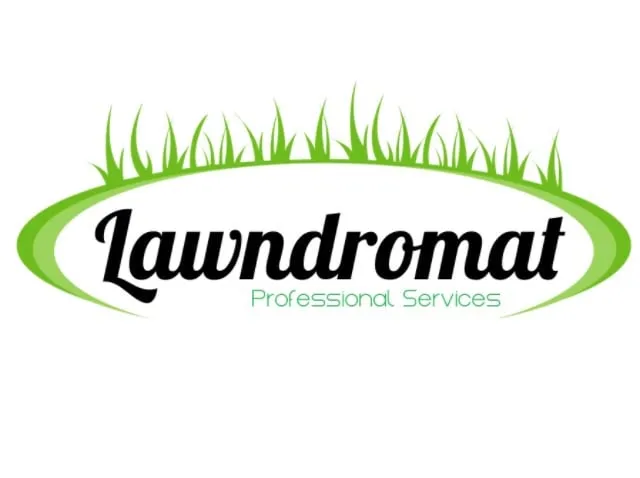 Reliable yard cleanup service for homes across Boston, MA - Lawndromat Professional Services