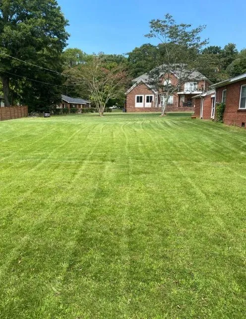 Custom lawn care service in Charlotte, NC - Lawnex Landscape Solutions