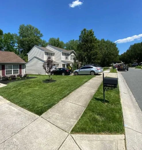 Top-rated yard cleanup service for homes in Charlotte, NC by Lawnex Landscape Solutions