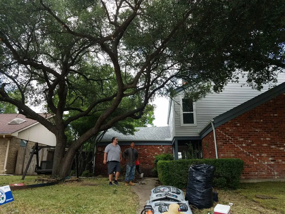 Affordable yard cleanup service experts serving Plano, TX - LawnExpert Lawn and Landscape
