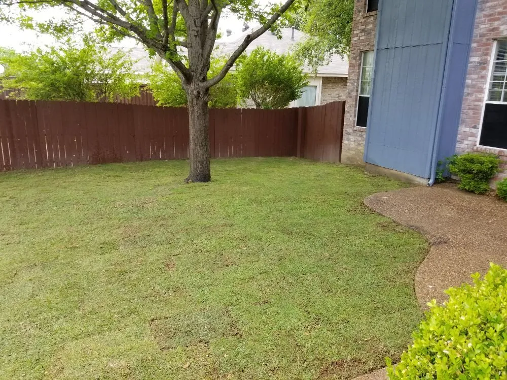 Expert lawn mowing service in Plano, TX by LawnExpert Lawn and Landscape