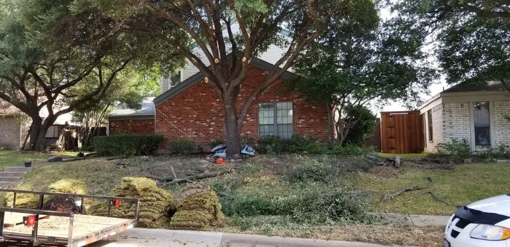 Expert yard cleanup service experts serving Plano, TX - LawnExpert Lawn and Landscape