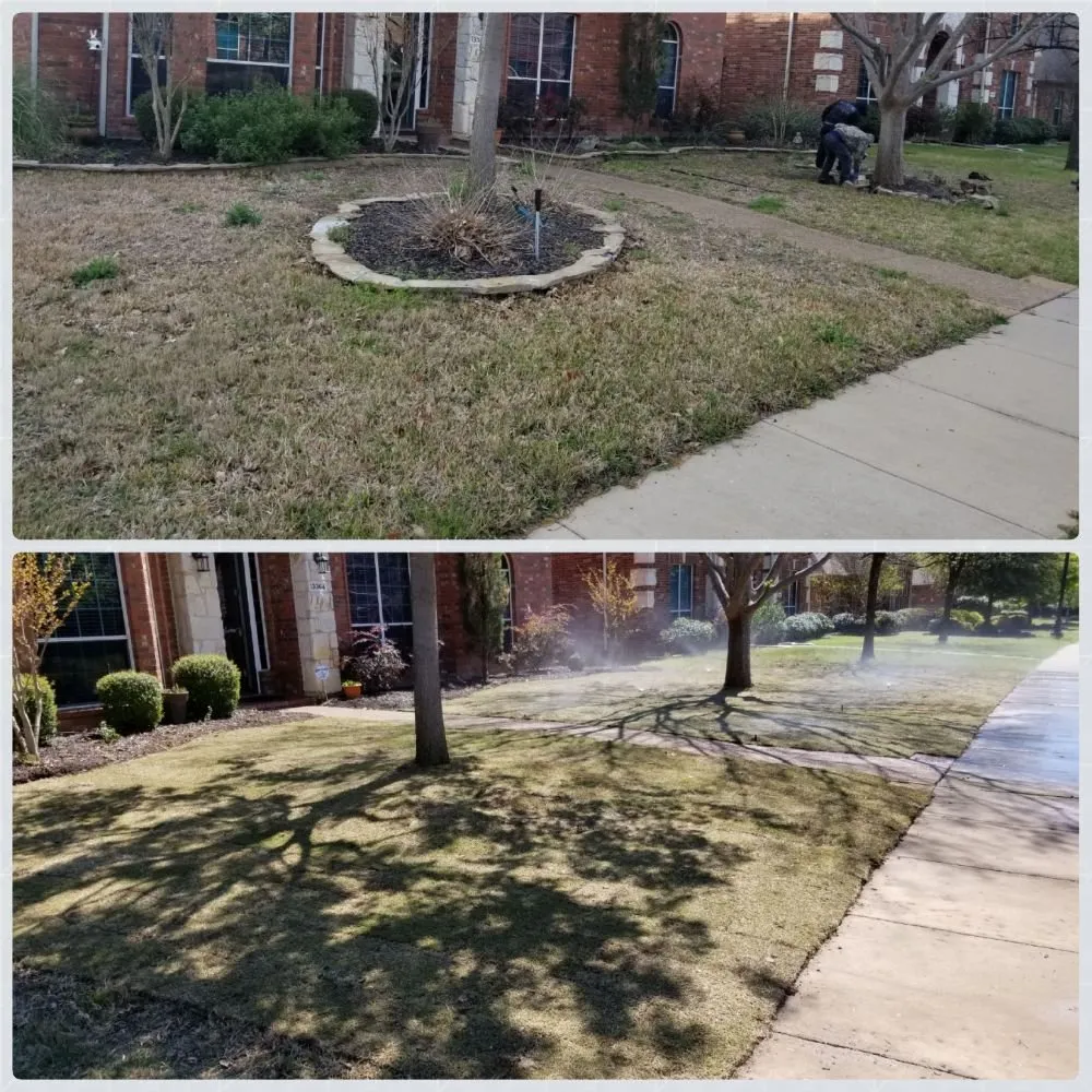 Affordable landscaping services for beautiful yards across Plano, TX - LawnExpert Lawn and Landscape