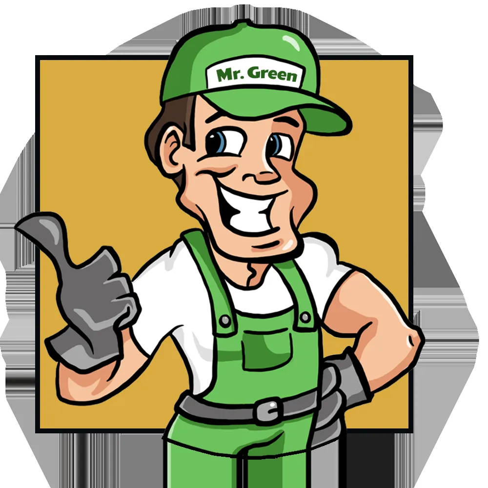 Reliable outdoor landscaping in Plano, TX by LawnExpert Lawn and Landscape