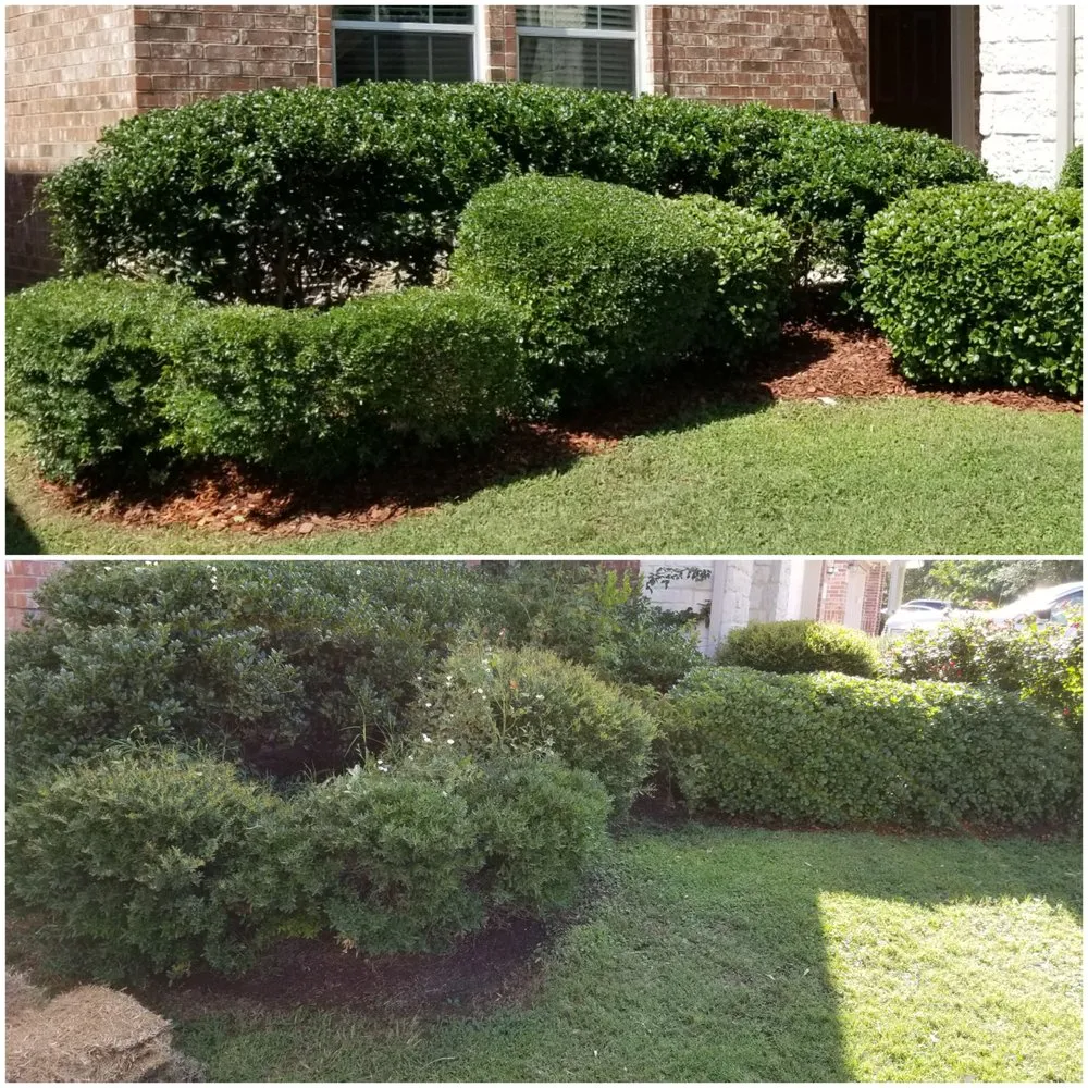 Trusted landscape design with custom design across Plano, TX - LawnExpert Lawn and Landscape