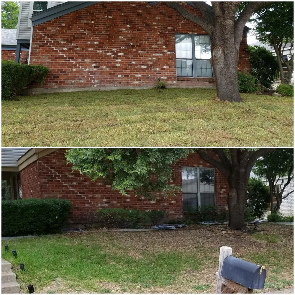 Expert lawn care service in Plano, TX by LawnExpert Lawn and Landscape