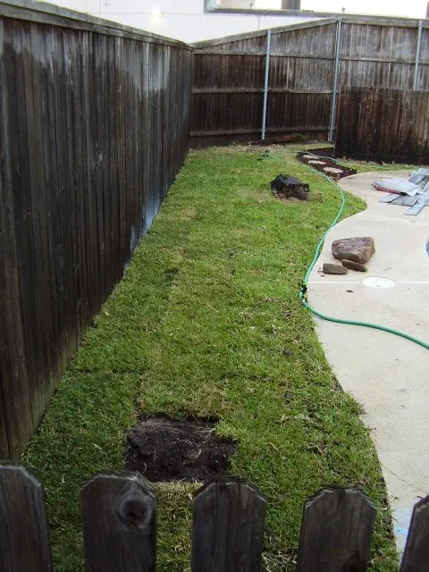 Professional outdoor landscaping in Plano, TX by LawnExpert Lawn and Landscape