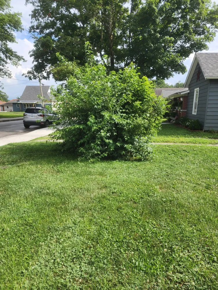 Custom yard maintenance near you across Martinsville, IN - Lawn&Garden