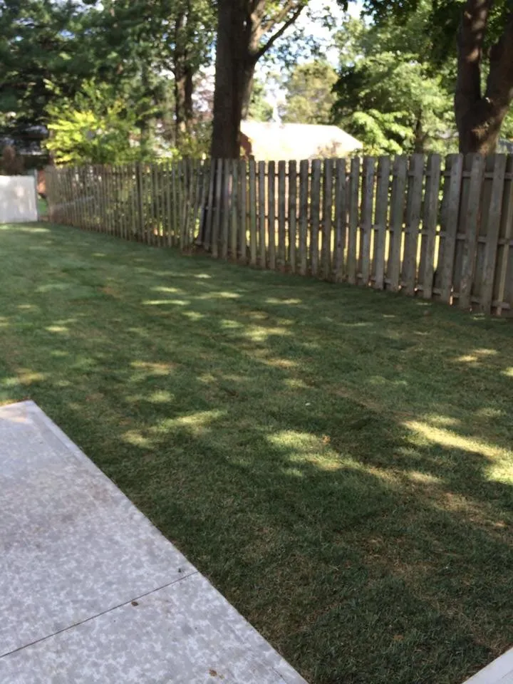 Top-rated outdoor landscaping for beautiful yards in Carteret, NJ by Lawngevity Landscape & Design