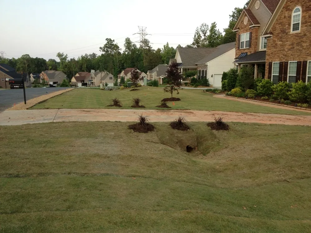 Expert outdoor landscaping in Belmont, NC by Lawngevity Landscape & Maintenance