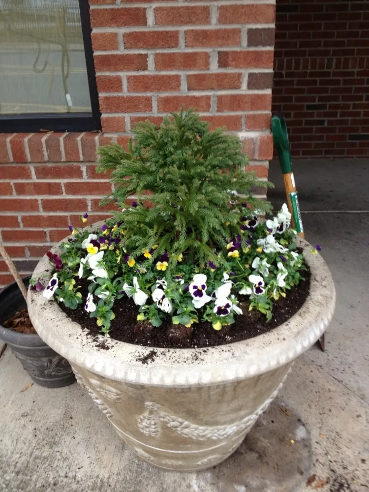 Affordable lawn mowing service experts serving Belmont, NC - Lawngevity Landscape & Maintenance