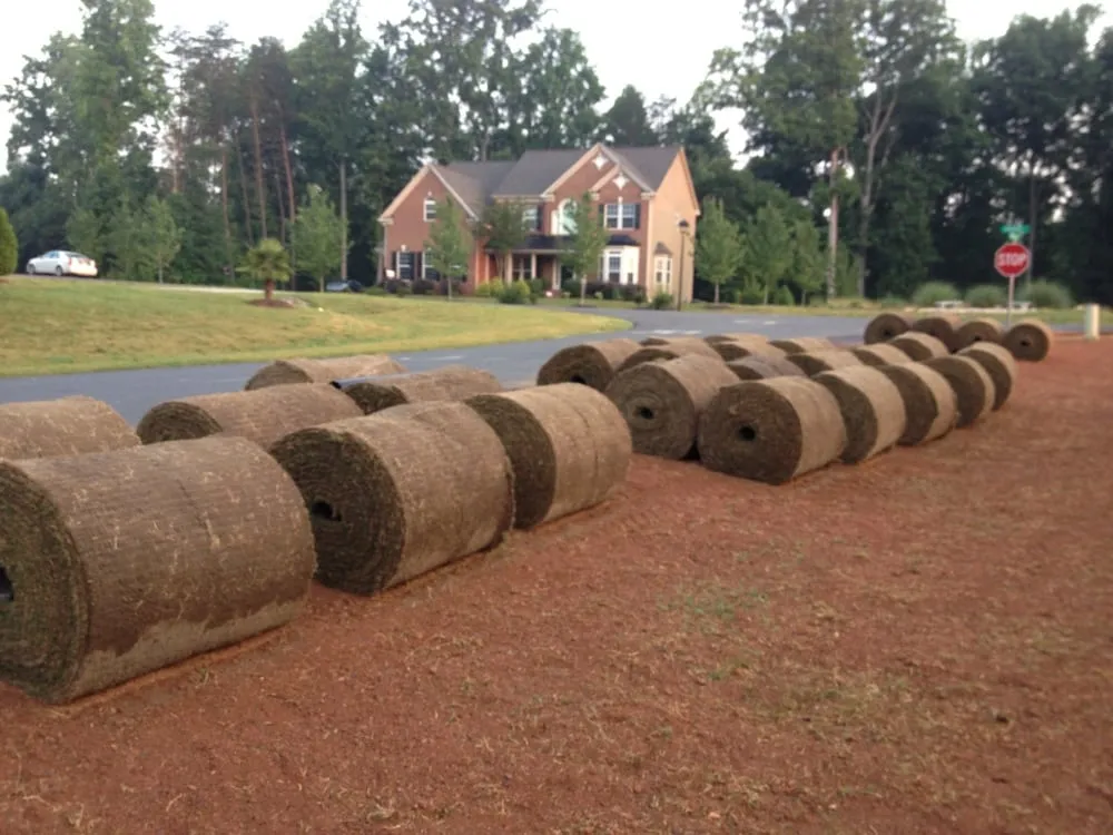 Local lawn care service in Belmont, NC by Lawngevity Landscape & Maintenance