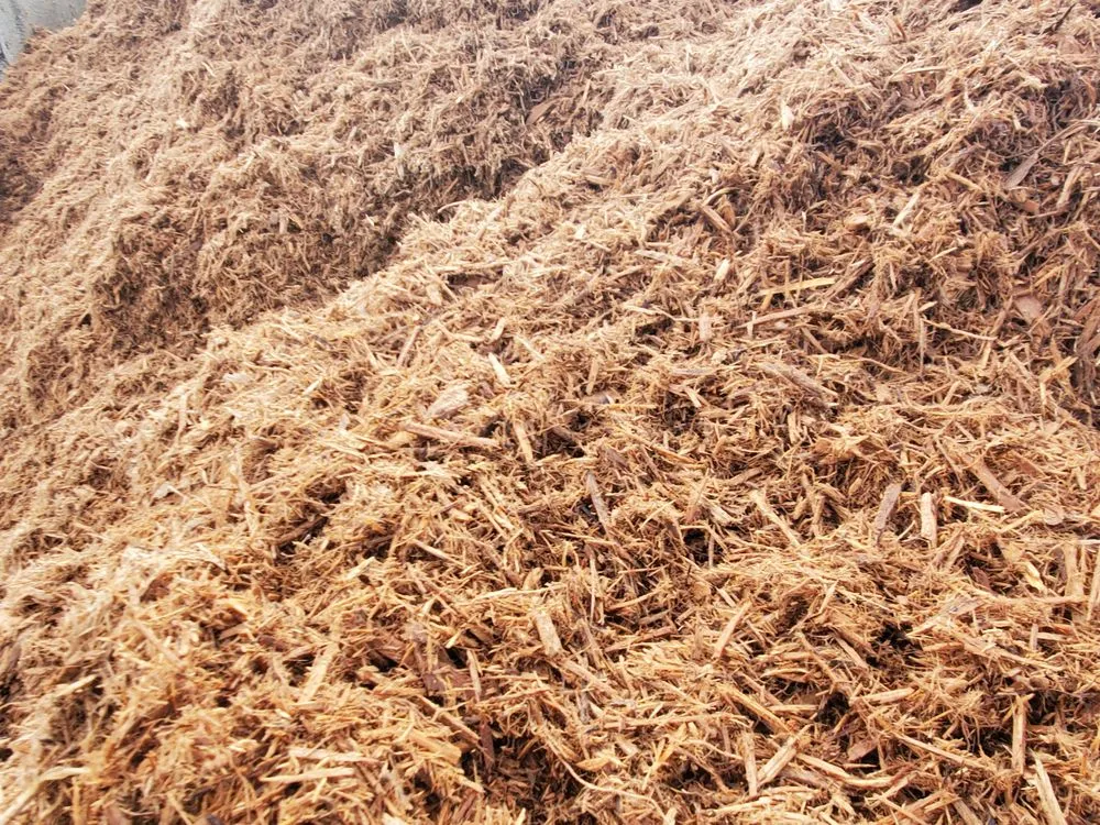 Local lawn mowing service for residential properties in Hampstead, NC by Lawngevity Landscape Center