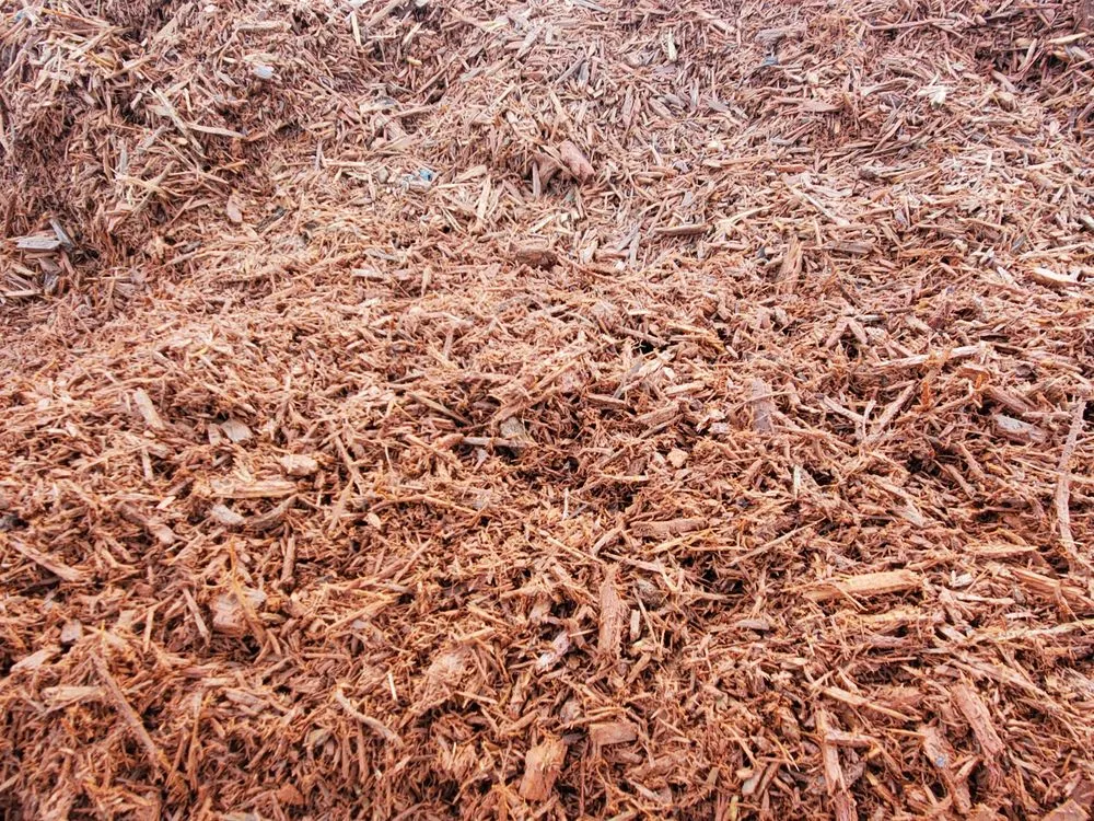 Top-rated outdoor landscaping in Hampstead, NC by Lawngevity Landscape Center