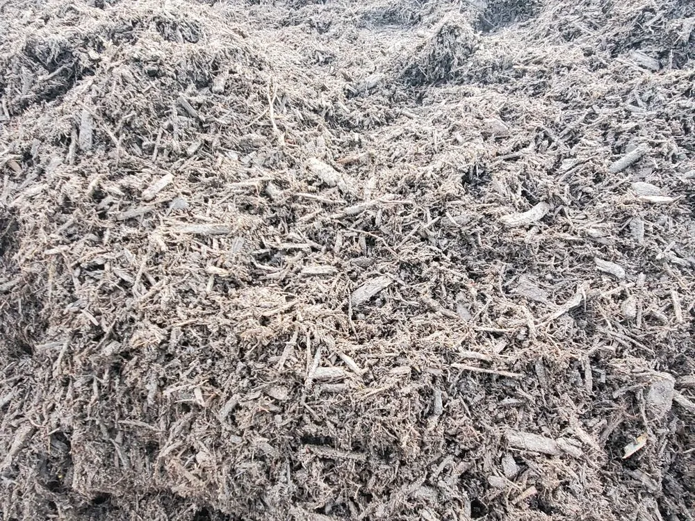 Affordable lawn mowing service in Hampstead, NC - Lawngevity Landscape Center