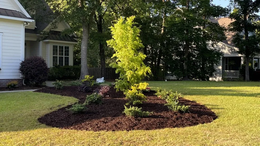 Expert outdoor landscaping for year-round maintenance across Hampstead, NC - Lawngevity Landscape Center