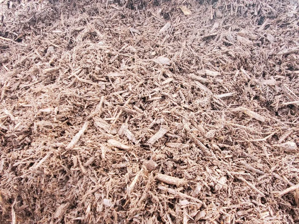 Custom landscaping services for homes across Hampstead, NC - Lawngevity Landscape Center