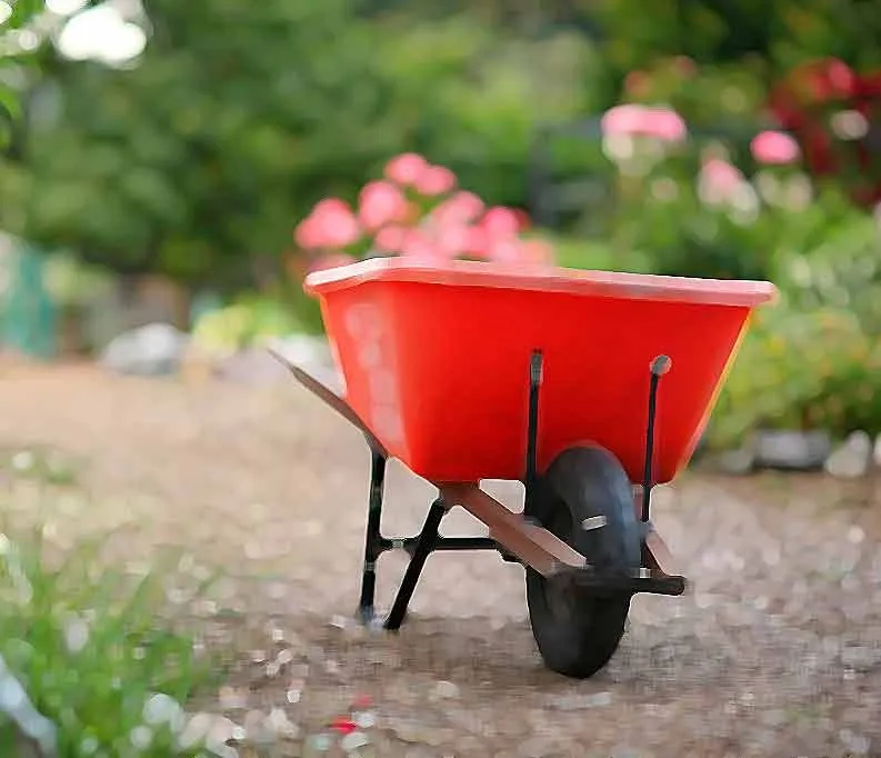 Reliable yard cleanup service experts serving Hampstead, NC - Lawngevity Landscape Center