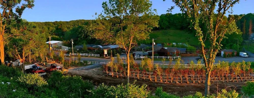 Top-rated landscape installation in Chester, NY by Lawngevity Landscape