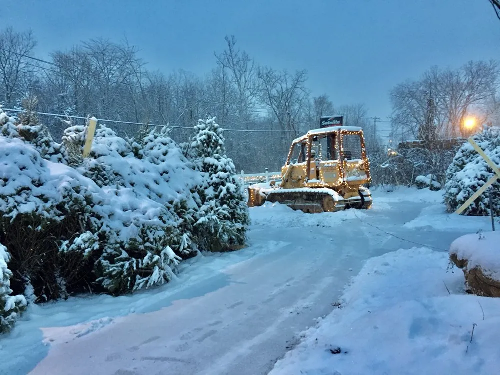 Custom yard maintenance for beautiful yards in Chester, NY by Lawngevity Landscape