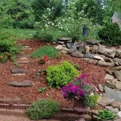 Custom landscaping services experts serving Charlotte, NC - Lawngevity Landscaping & Maintenance