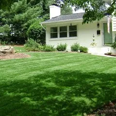 Reliable yard cleanup service experts serving Charlotte, NC - Lawngevity Landscaping & Maintenance