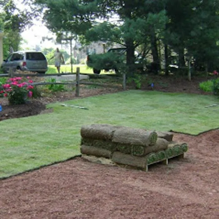 Affordable lawn mowing service in Charlotte, NC - Lawngevity Landscaping & Maintenance