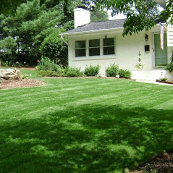 Expert outdoor landscaping for residential properties across Charlotte, NC - Lawngevity Landscaping & Maintenance