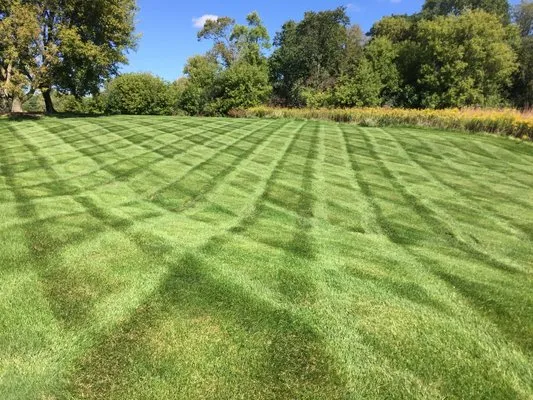 Lawngevity Lawn & Snow