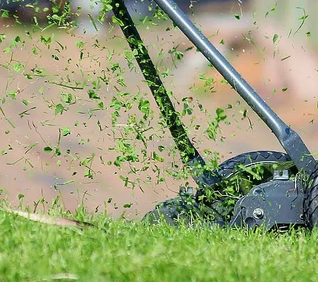 Top-rated residential landscaping in Midlothian, VA by LAWNgevity