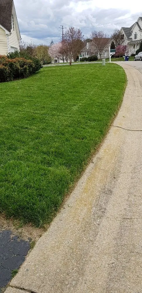 Top-rated landscape installation for residential properties in Midlothian, VA by LAWNgevity