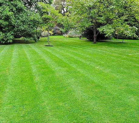 Reliable landscape installation with custom design in Midlothian, VA by LAWNgevity