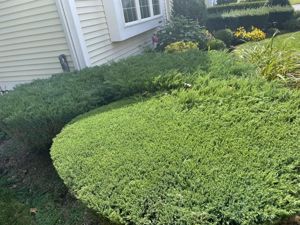 Local landscape design in Providence, RI - Lawngevity of RI