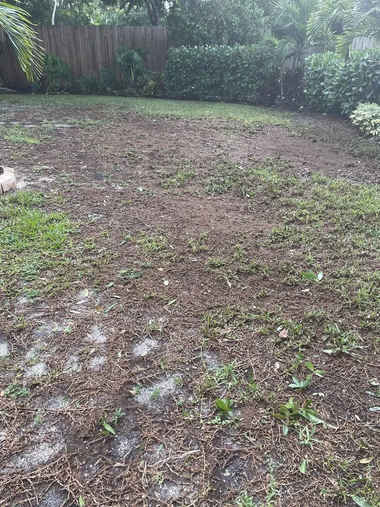 Local landscaping services for outdoor upgrades across Sarasota, FL - Lawngevity