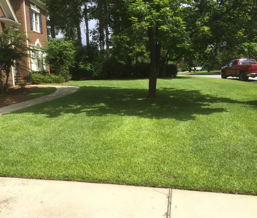Trusted landscape installation for beautiful yards in Elgin, SC by Lawngitude Lawn Care