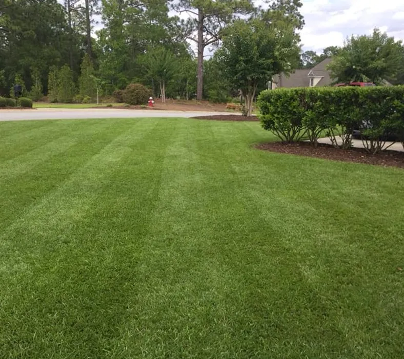 Custom outdoor landscaping in Elgin, SC by Lawngitude Lawn Care
