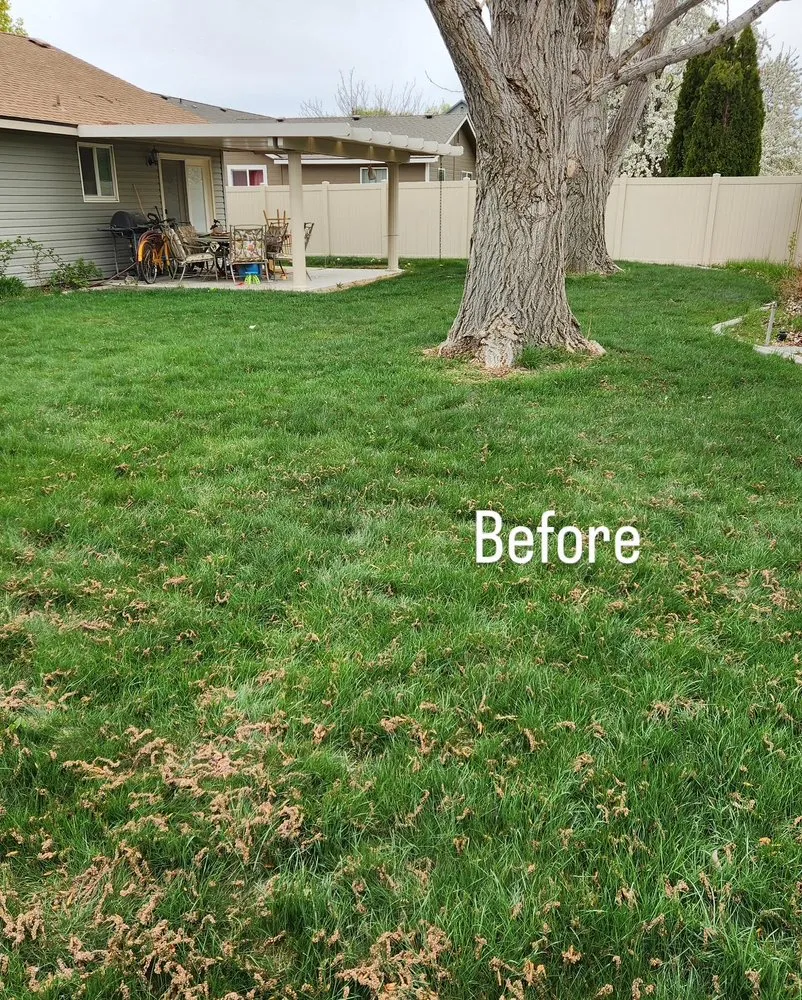 Expert yard maintenance in Nampa, ID - LawnGnomes