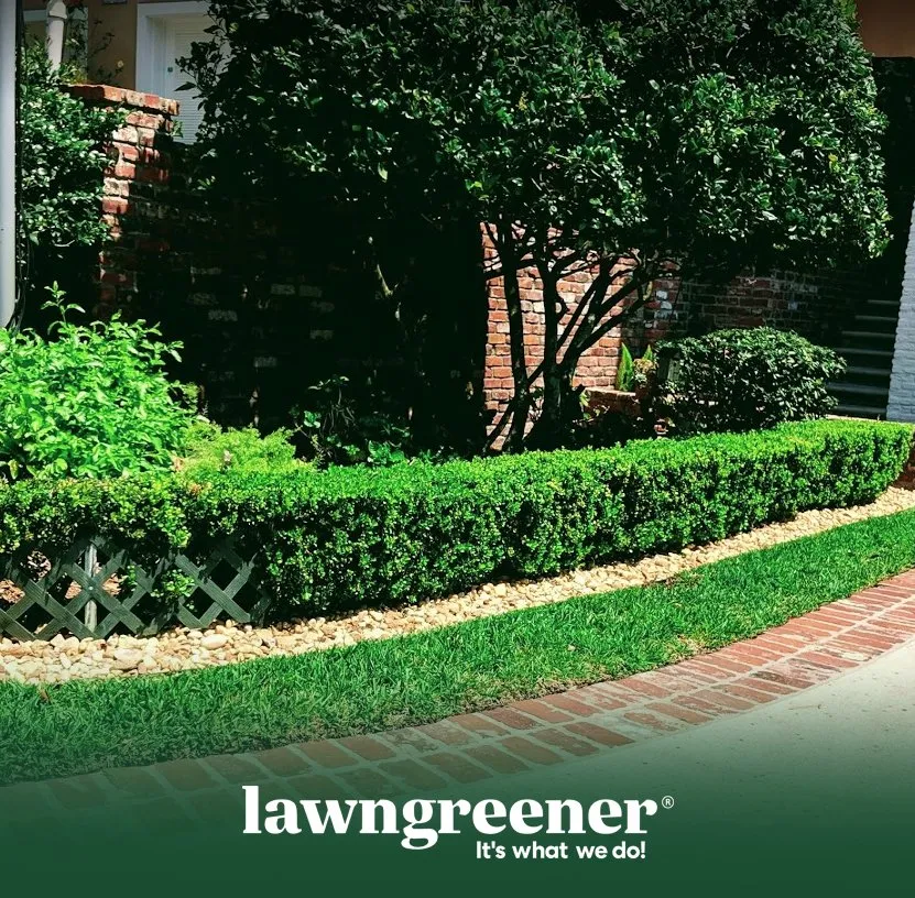 Professional lawn care service for outdoor upgrades in Jacksonville, FL by Lawngreener