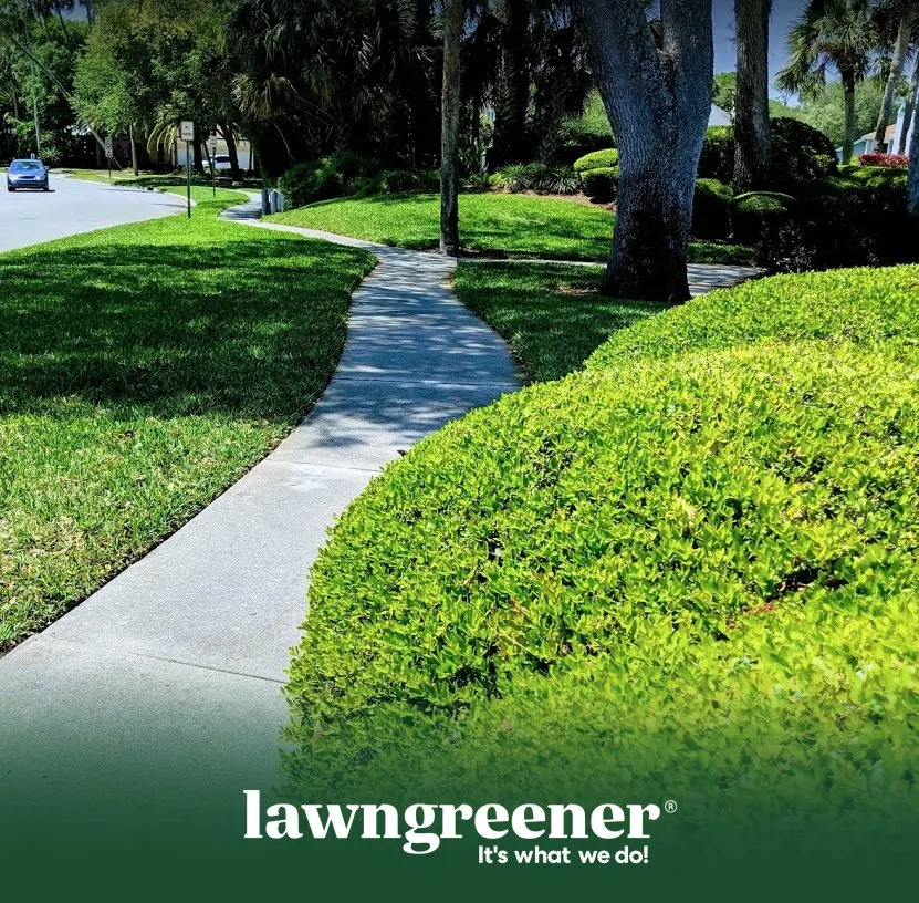 Custom landscape installation near you in Jacksonville, FL by Lawngreener